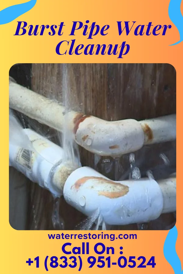 Burst Pipe Water Cleanup in Vail, PA