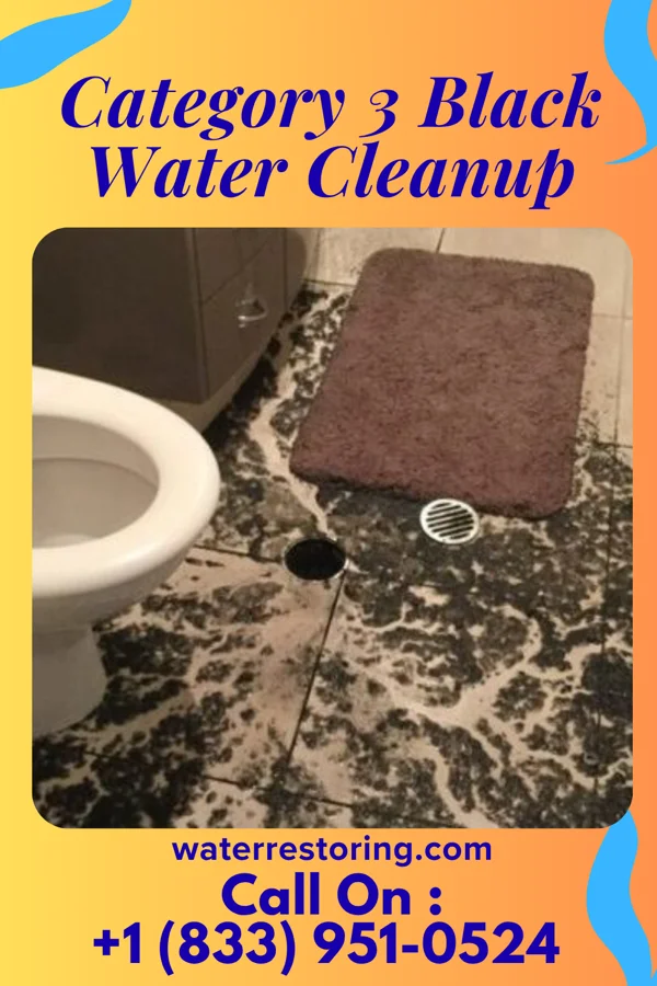 Category 3 Black Water Cleanup in Vail, PA