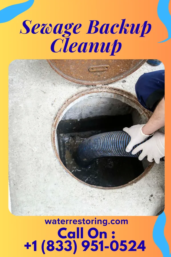 Sewage Backup Cleanup in Vail, PA