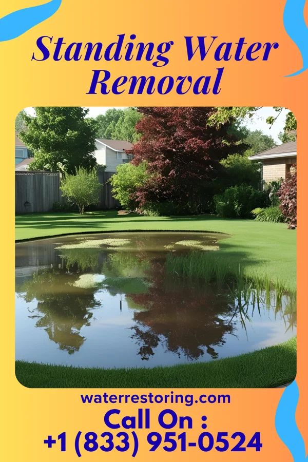 Standing Water Removal in Vail, PA